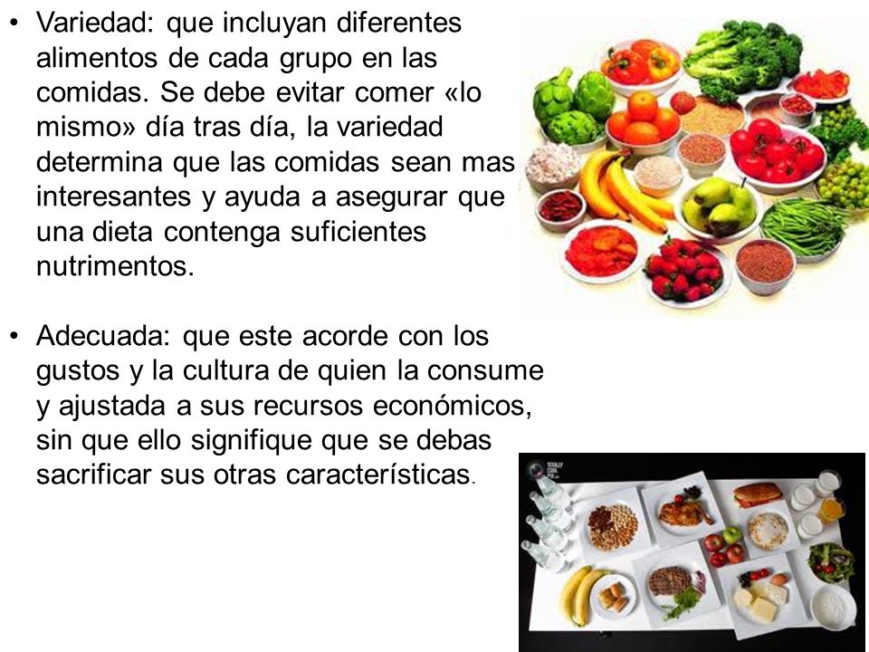 Que es la dieta y sus caracteristicas